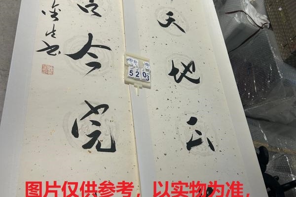 序号224，编号15208，
作者：顾金生
作品：养天，法古