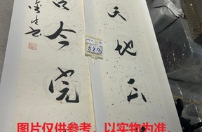 序号224，编号15208，
作者：顾金生
作品：养天，法古