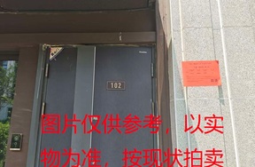 璞丽府小区，排屋5-102，258.25（含地下储藏室面积61.88）㎡