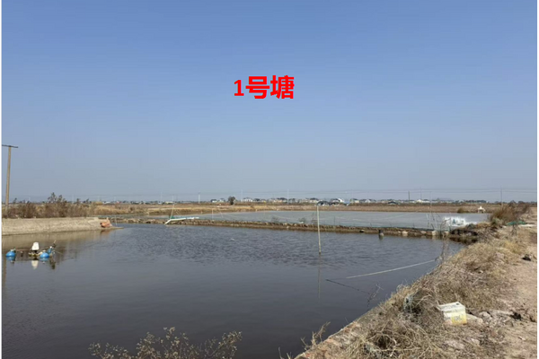 宁海县长街镇朝西洋港5口养殖塘 三年承包权