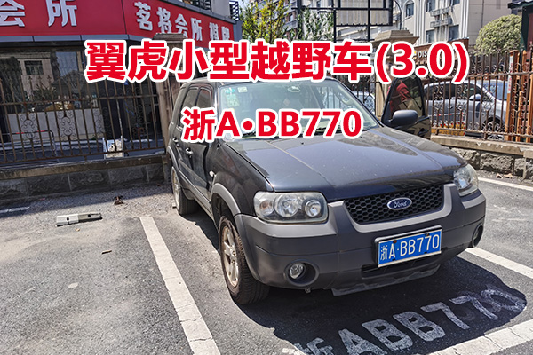 序号21:翼虎小型越野车(3.0)浙ABB770