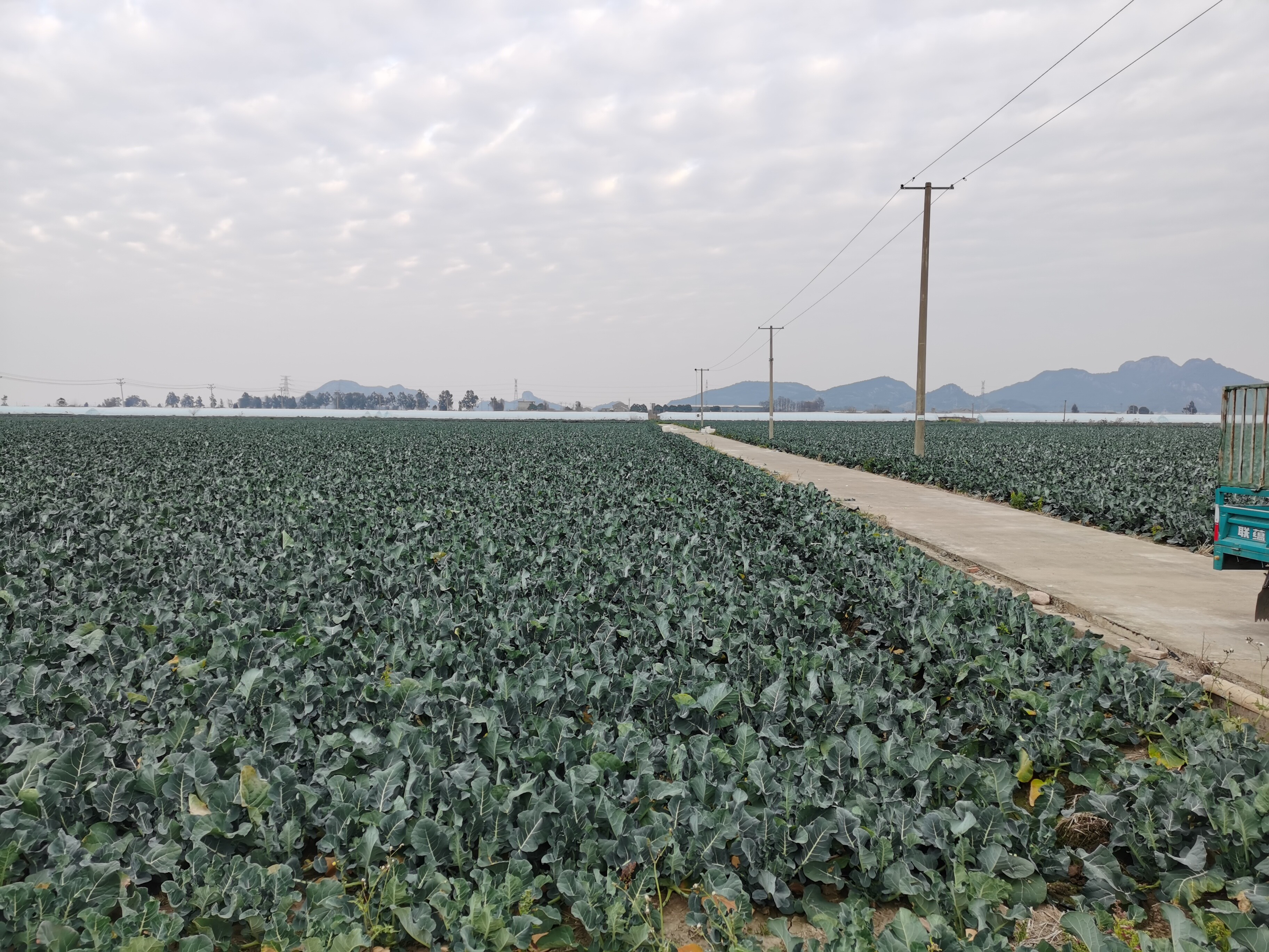 临海市桃渚镇下山头村洞港的土地租赁权