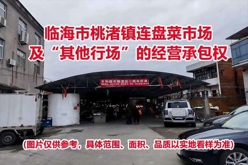 临海市桃渚镇连盘菜市场及“其他行场”的经营承包权