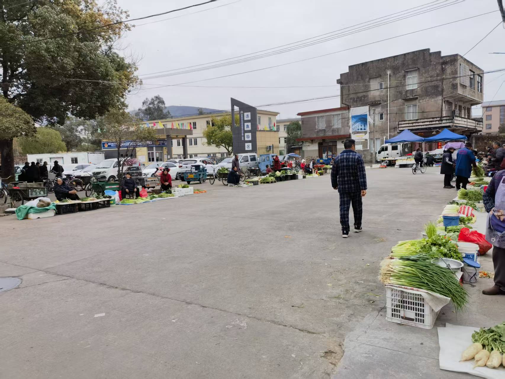 临海市桃渚镇连盘菜市场及“其他行场”的经营承包权