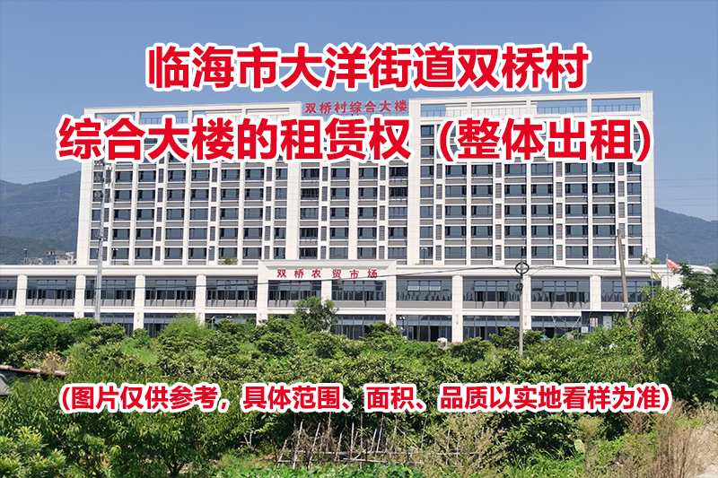 临海市大洋街道双桥村综合大楼的租赁权（整体出租）