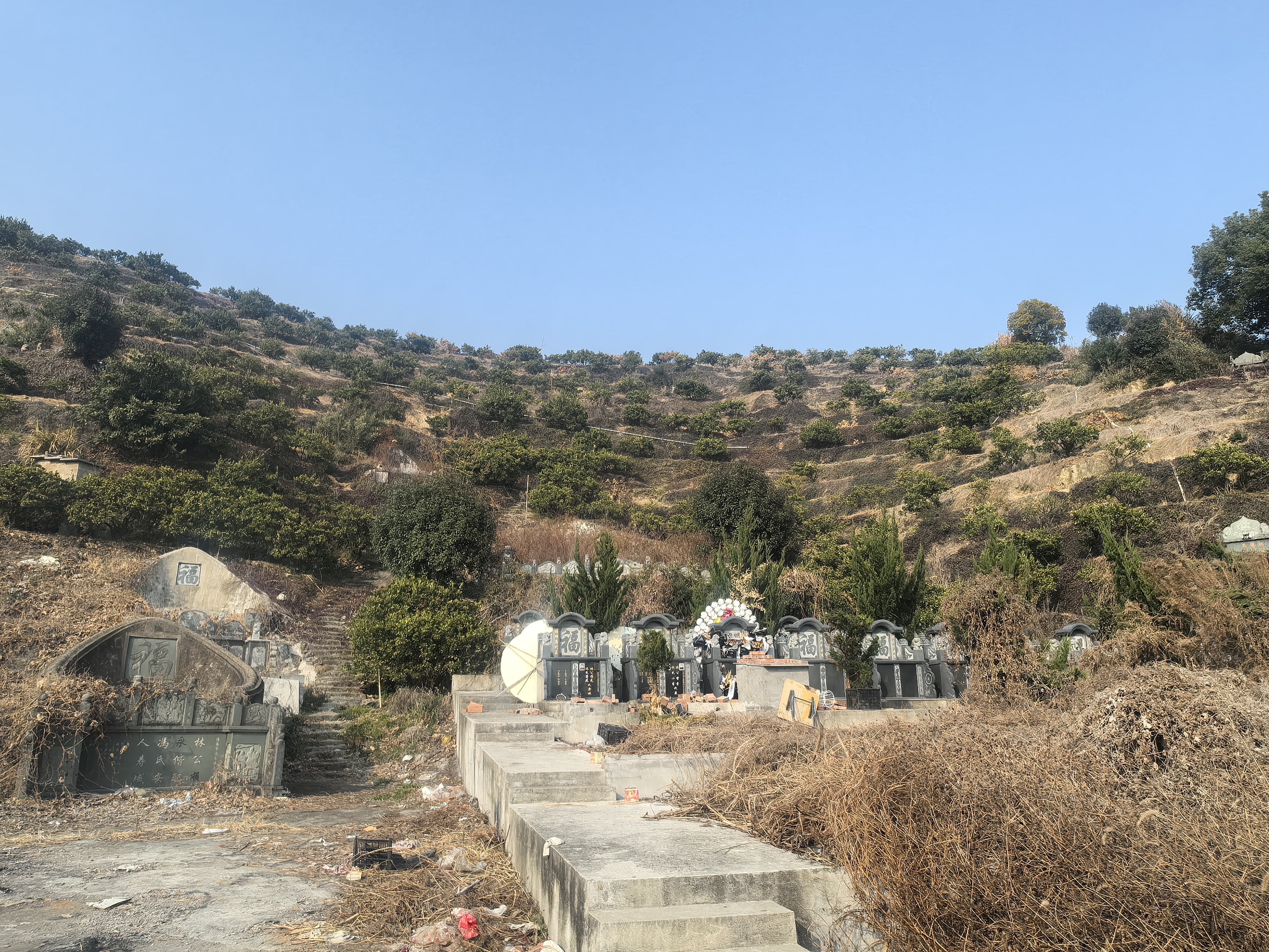 临海市涌泉镇店头村佛牛山柑桔场柑橘树的承包权