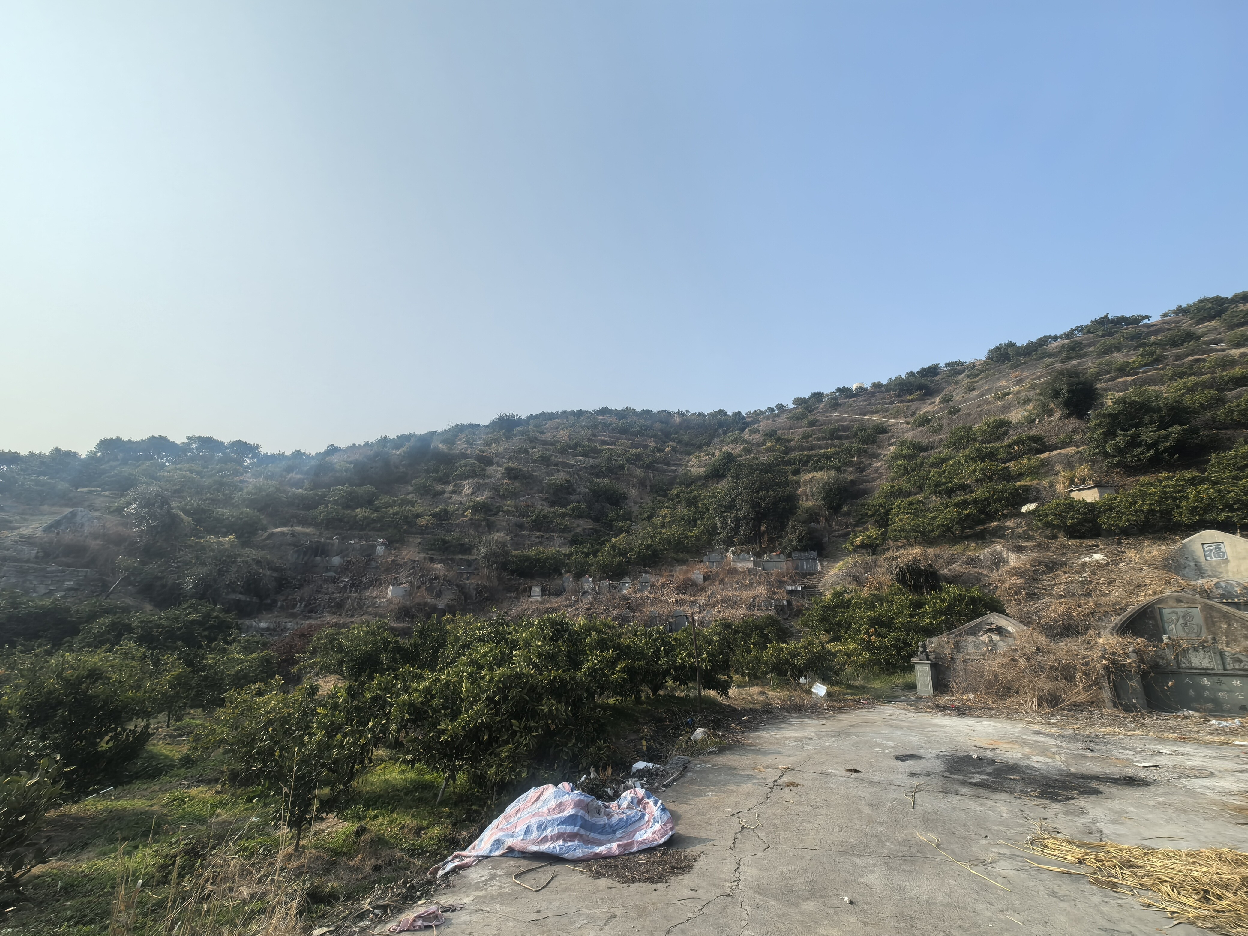 临海市涌泉镇店头村佛牛山柑桔场柑橘树的承包权