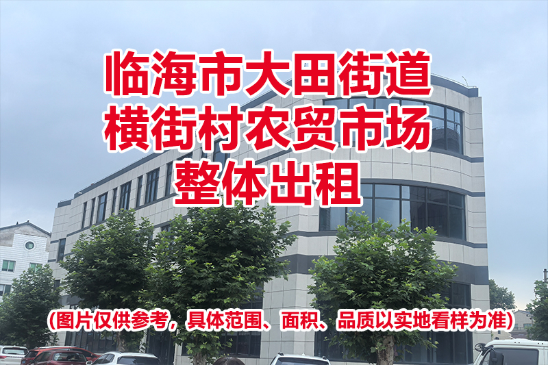 临海市大田街道横街村农贸市场的租赁权（整体出租）