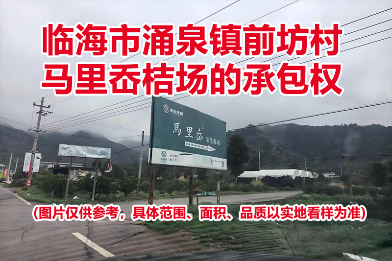 临海市涌泉镇前坊村马里岙桔场的承包权