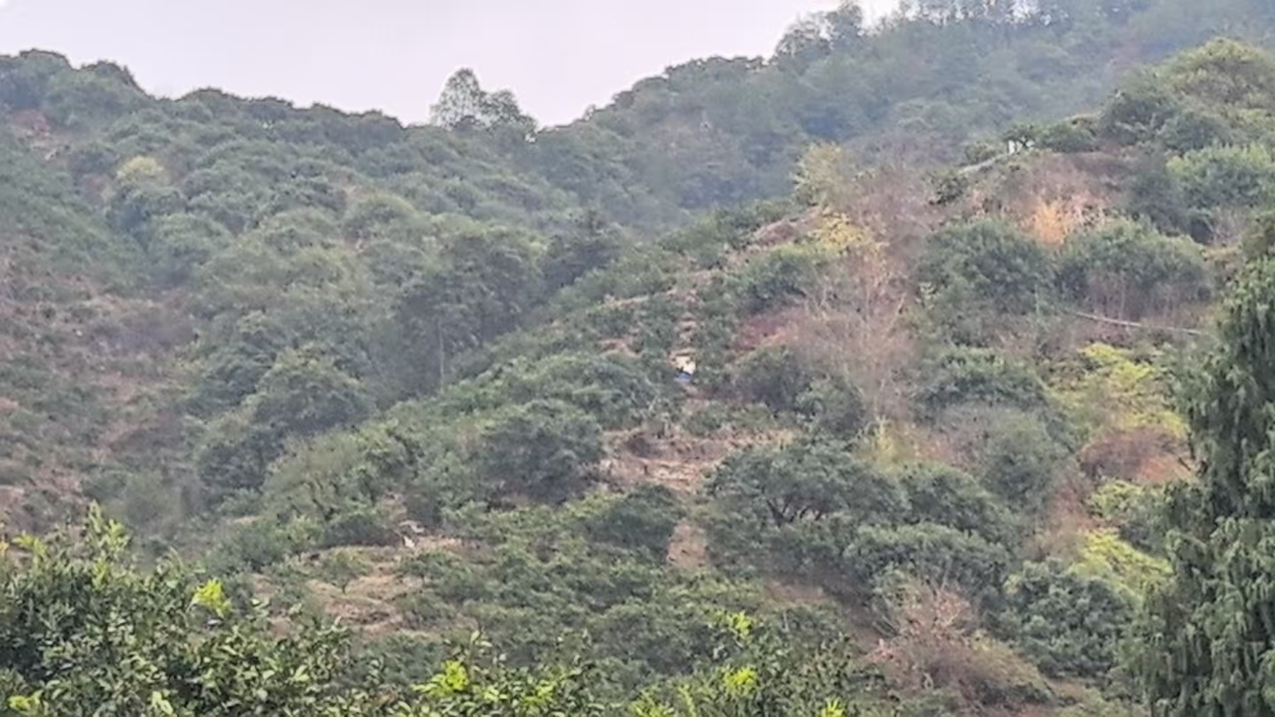 临海市涌泉镇前坊村马里岙桔场的承包权