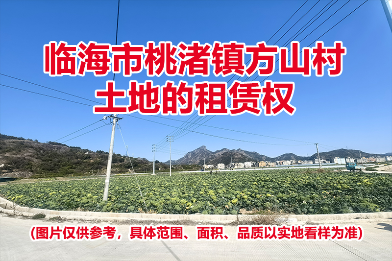 临海市桃渚镇方山村土地的租赁权