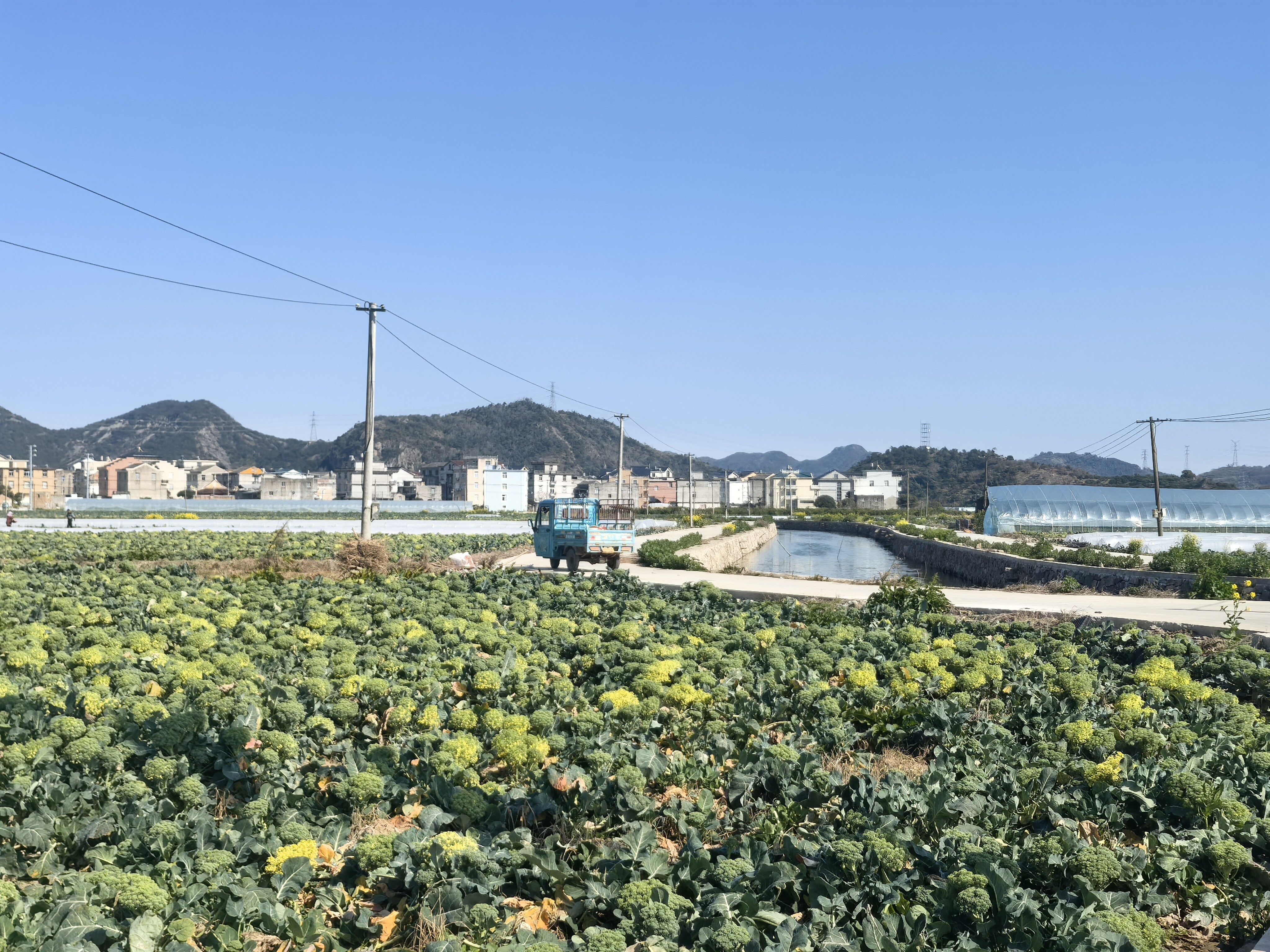 临海市桃渚镇方山村土地的租赁权