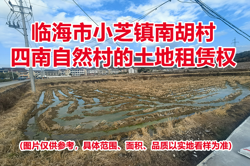 临海市小芝镇南胡村四南自然村的土地租赁权