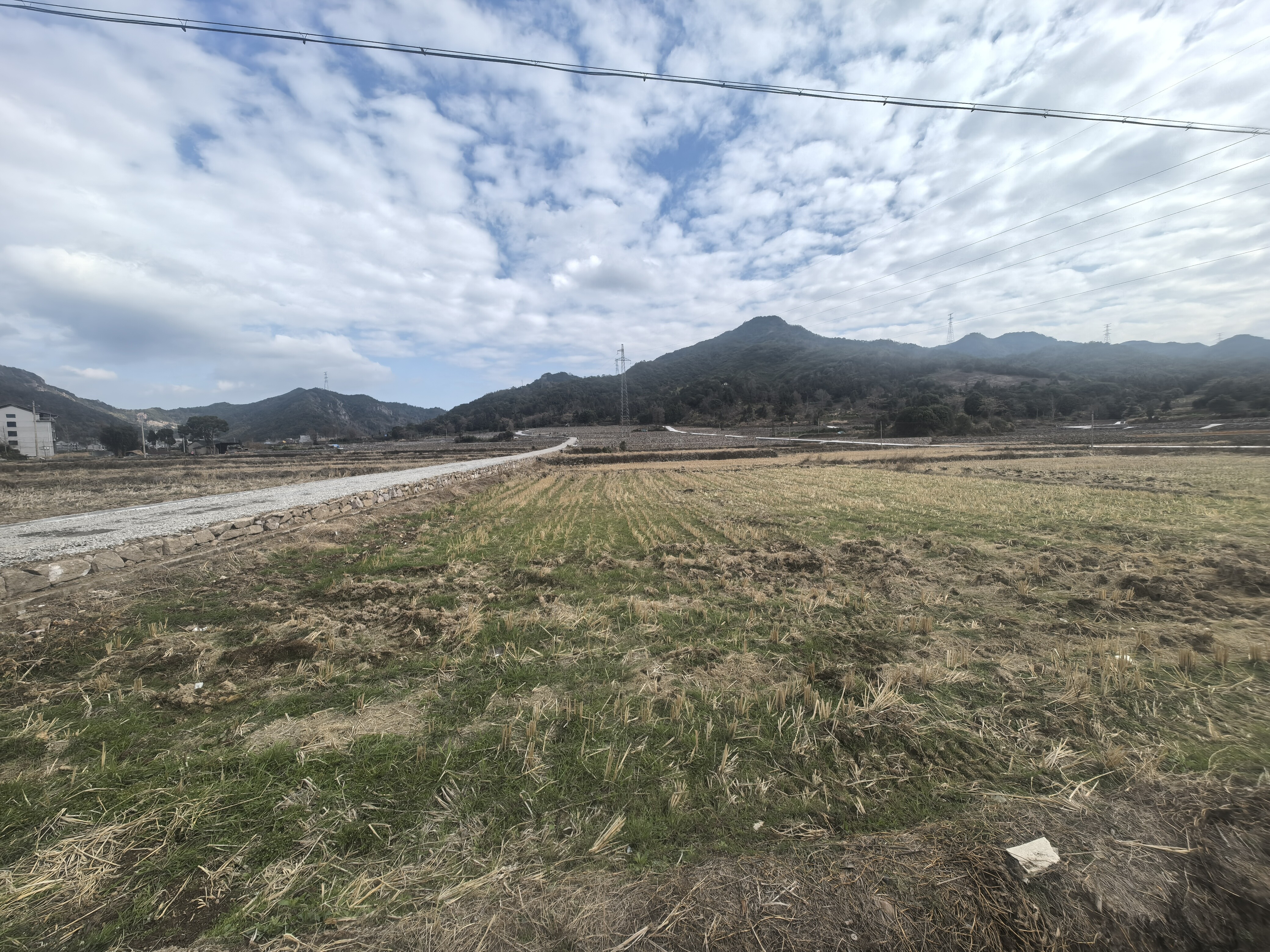 临海市小芝镇南胡村四南自然村的土地租赁权