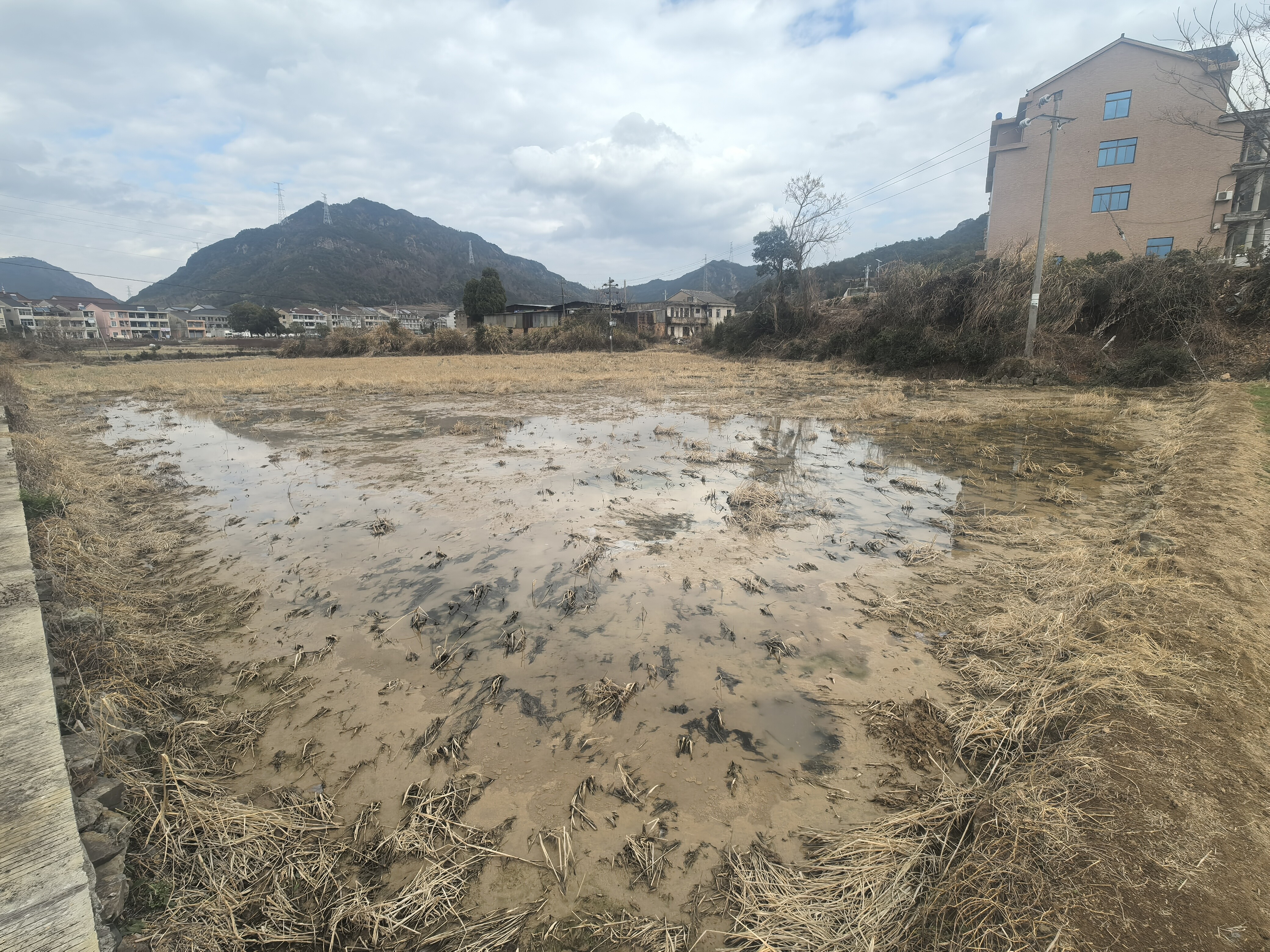 临海市小芝镇南胡村四南自然村的土地租赁权