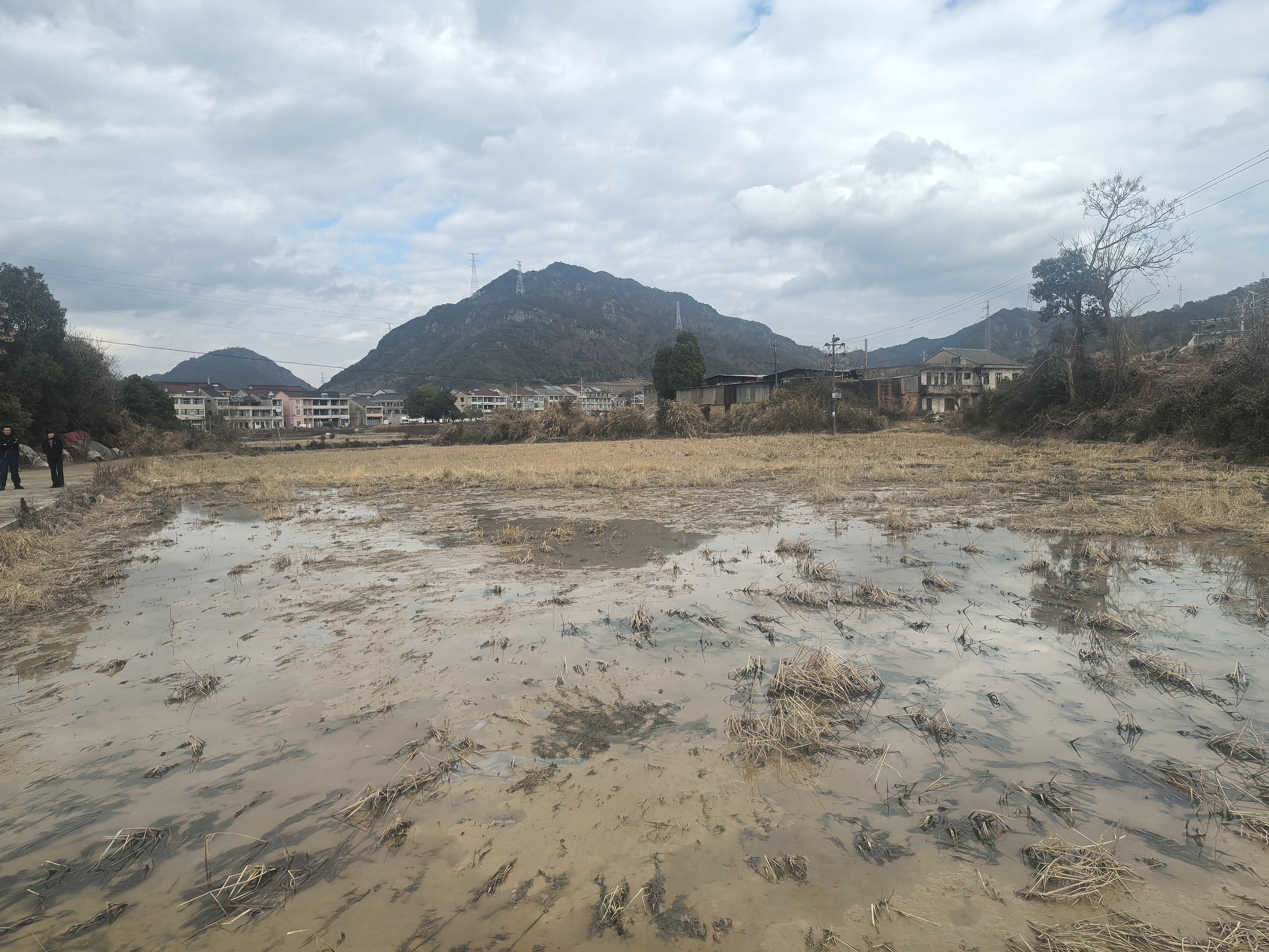 临海市小芝镇南胡村四南自然村的土地租赁权