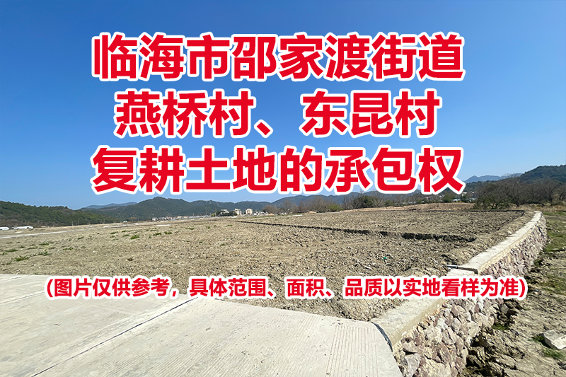 临海市邵家渡街道燕桥村、东昆村复耕土地的承包权