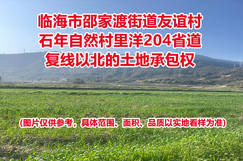 临海市邵家渡街道友谊村石年自然村里洋204省道复线以北的土地承包权