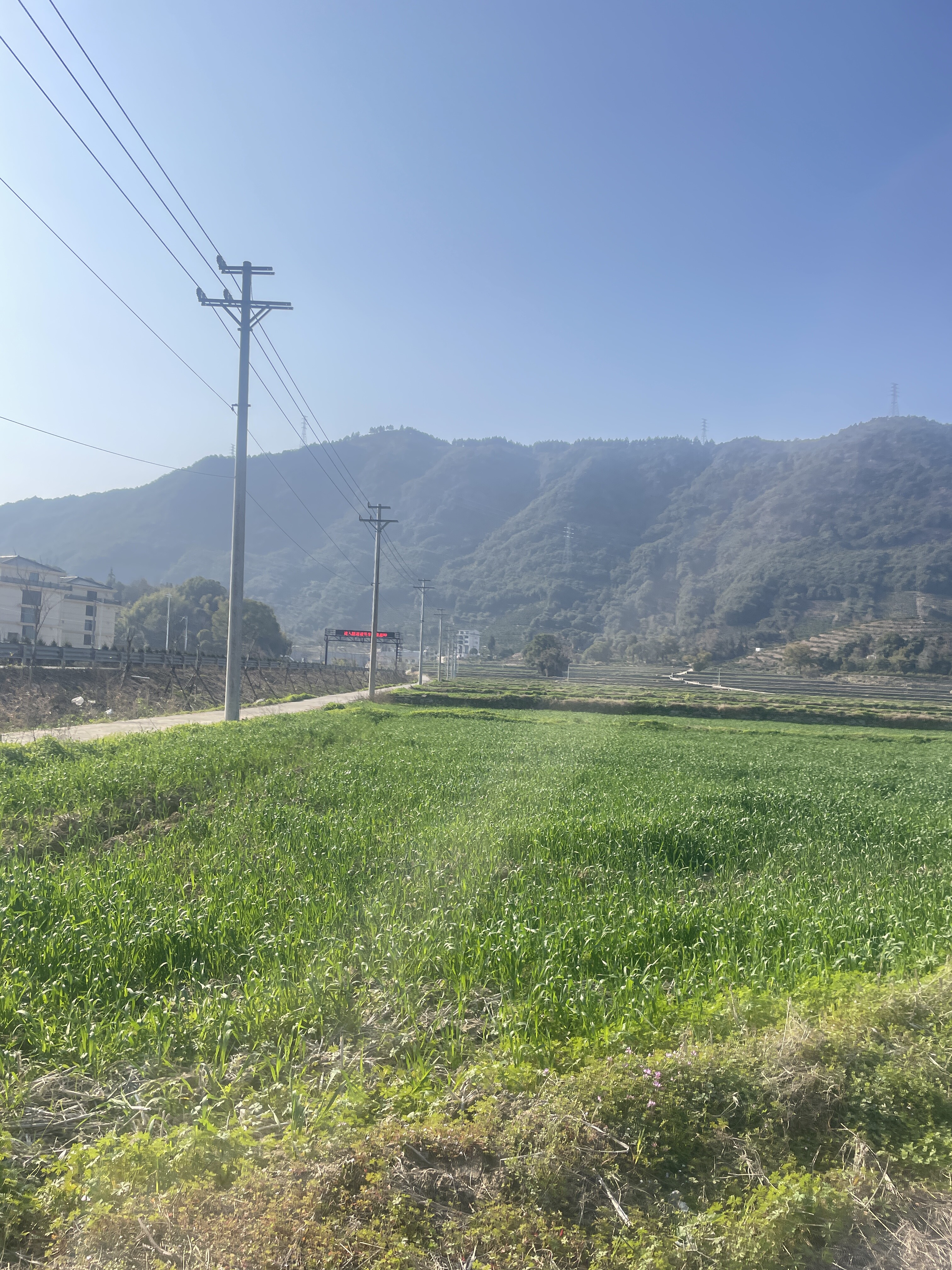 临海市邵家渡街道友谊村石年自然村里洋204省道复线以北的土地承包权