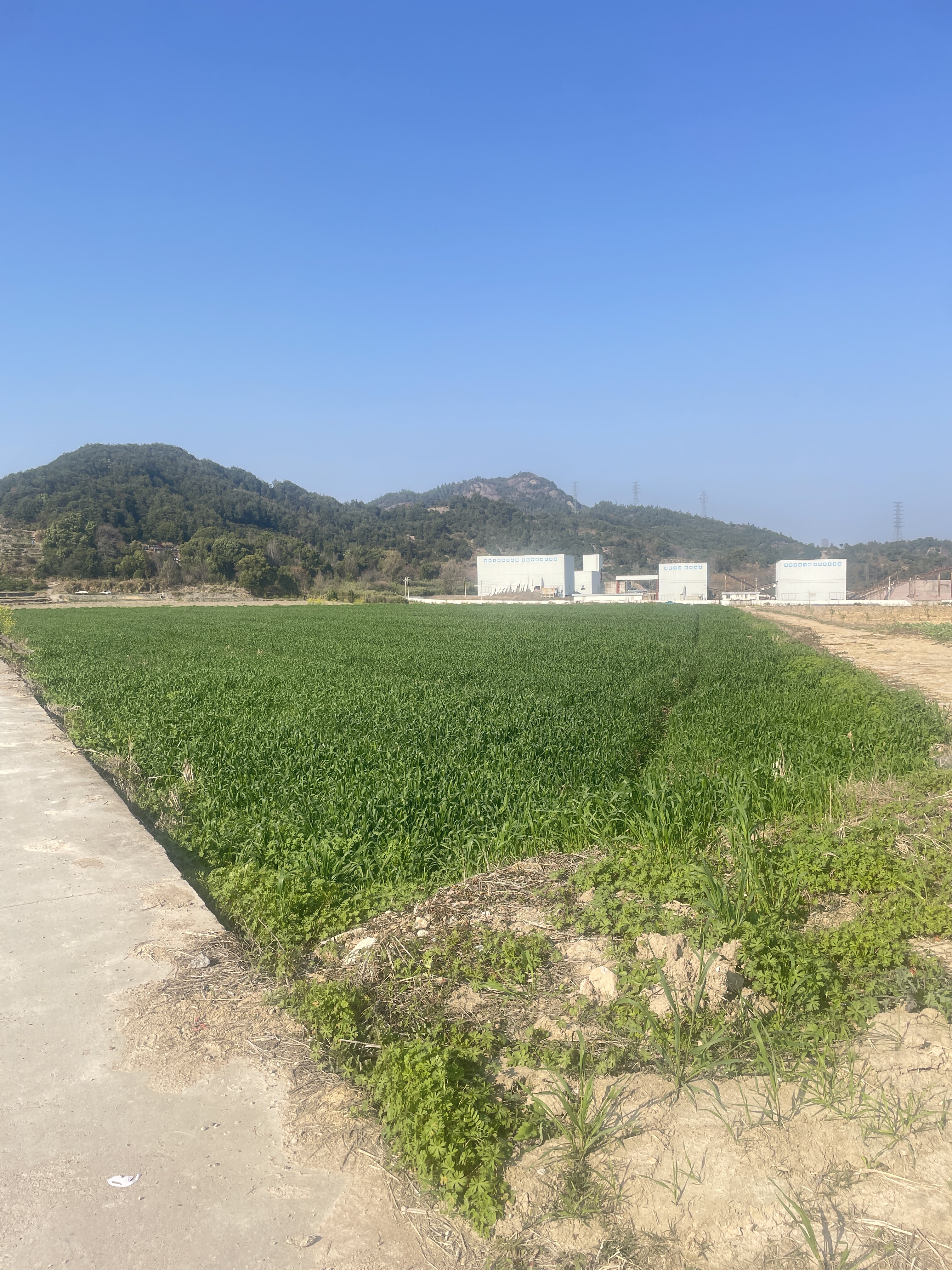 临海市邵家渡街道友谊村石年自然村里洋204省道复线以北的土地承包权