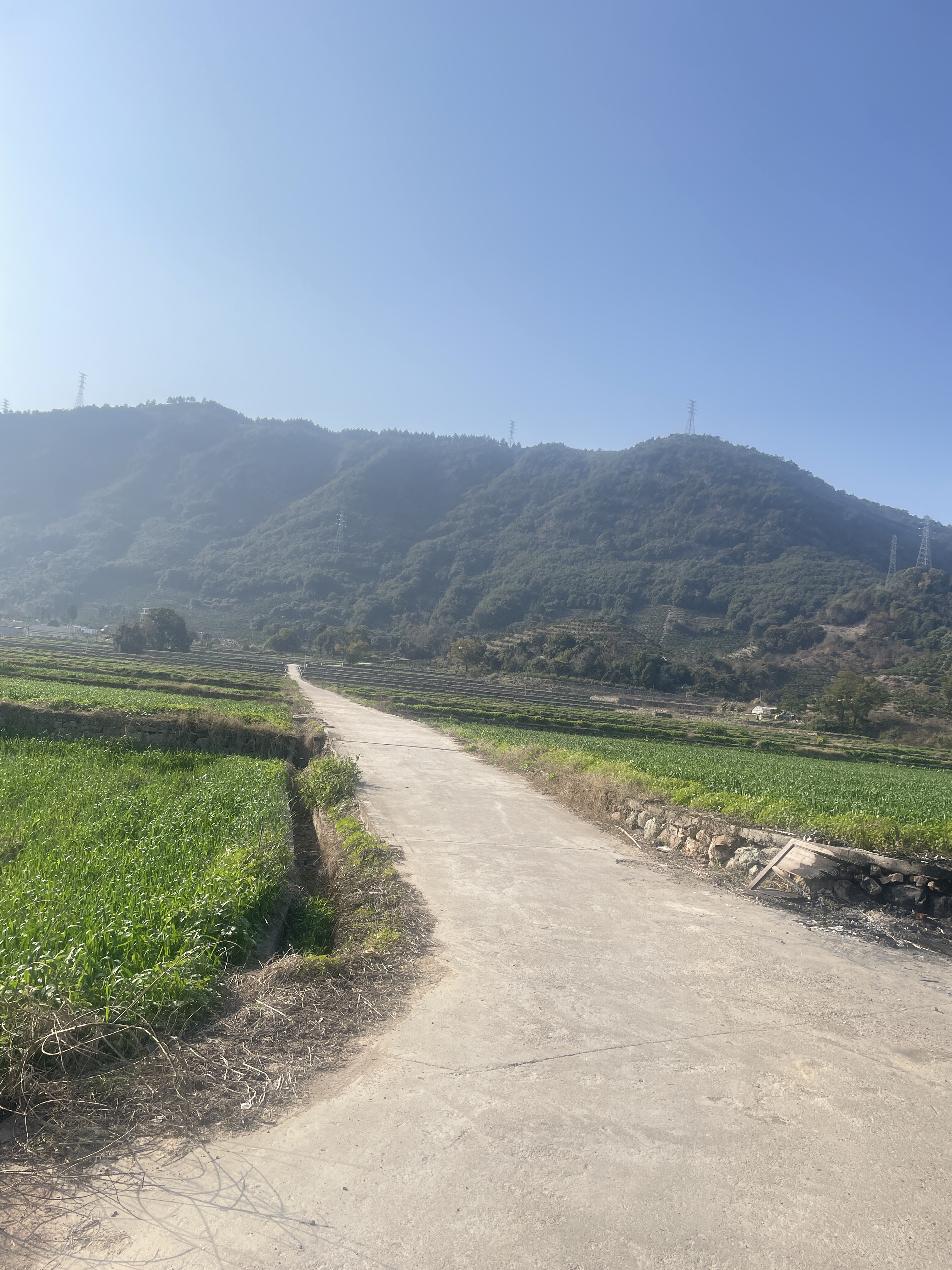 临海市邵家渡街道友谊村石年自然村里洋204省道复线以北的土地承包权