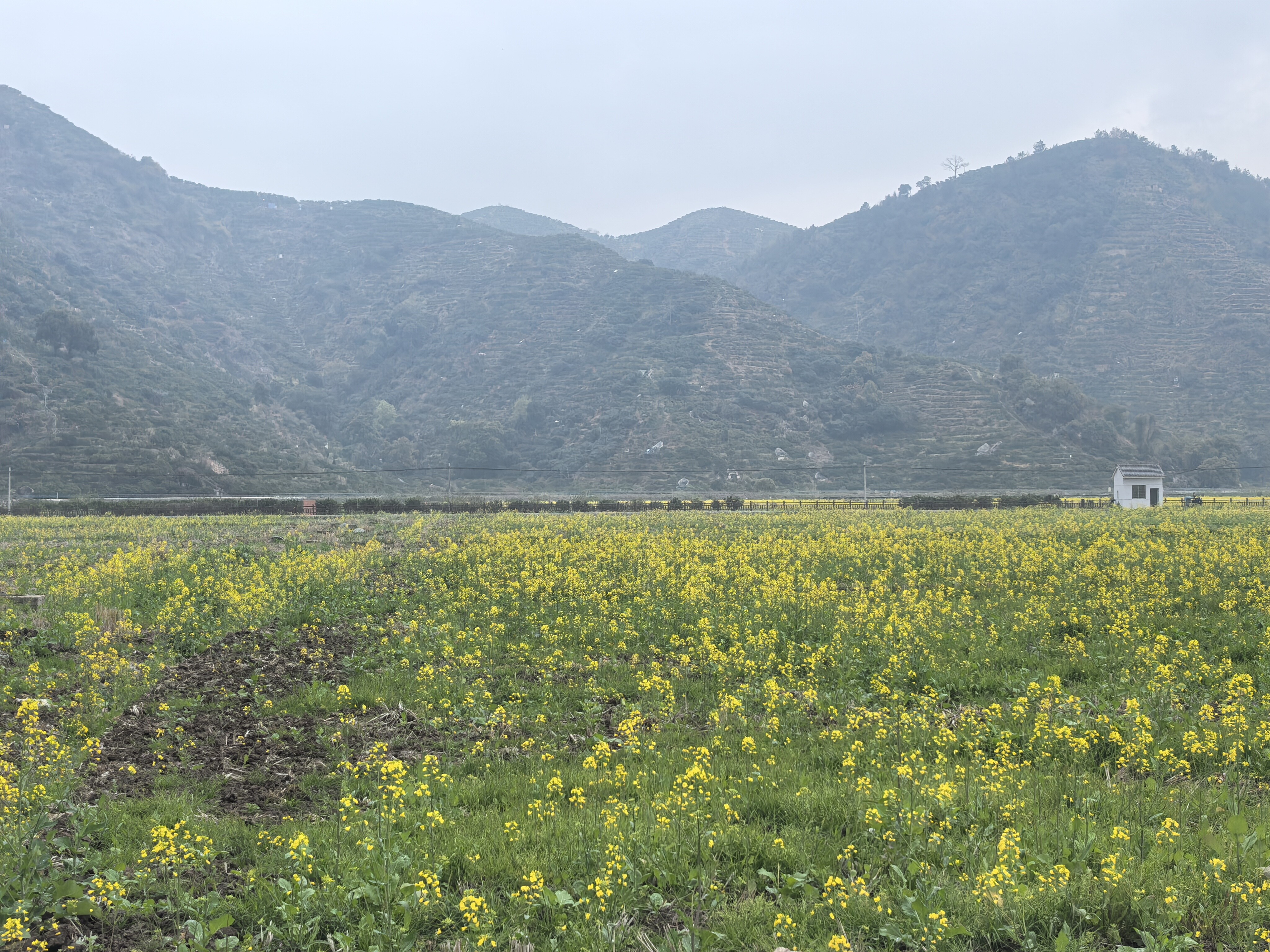 临海市涌泉镇新前塘村复耕土地的承包权
