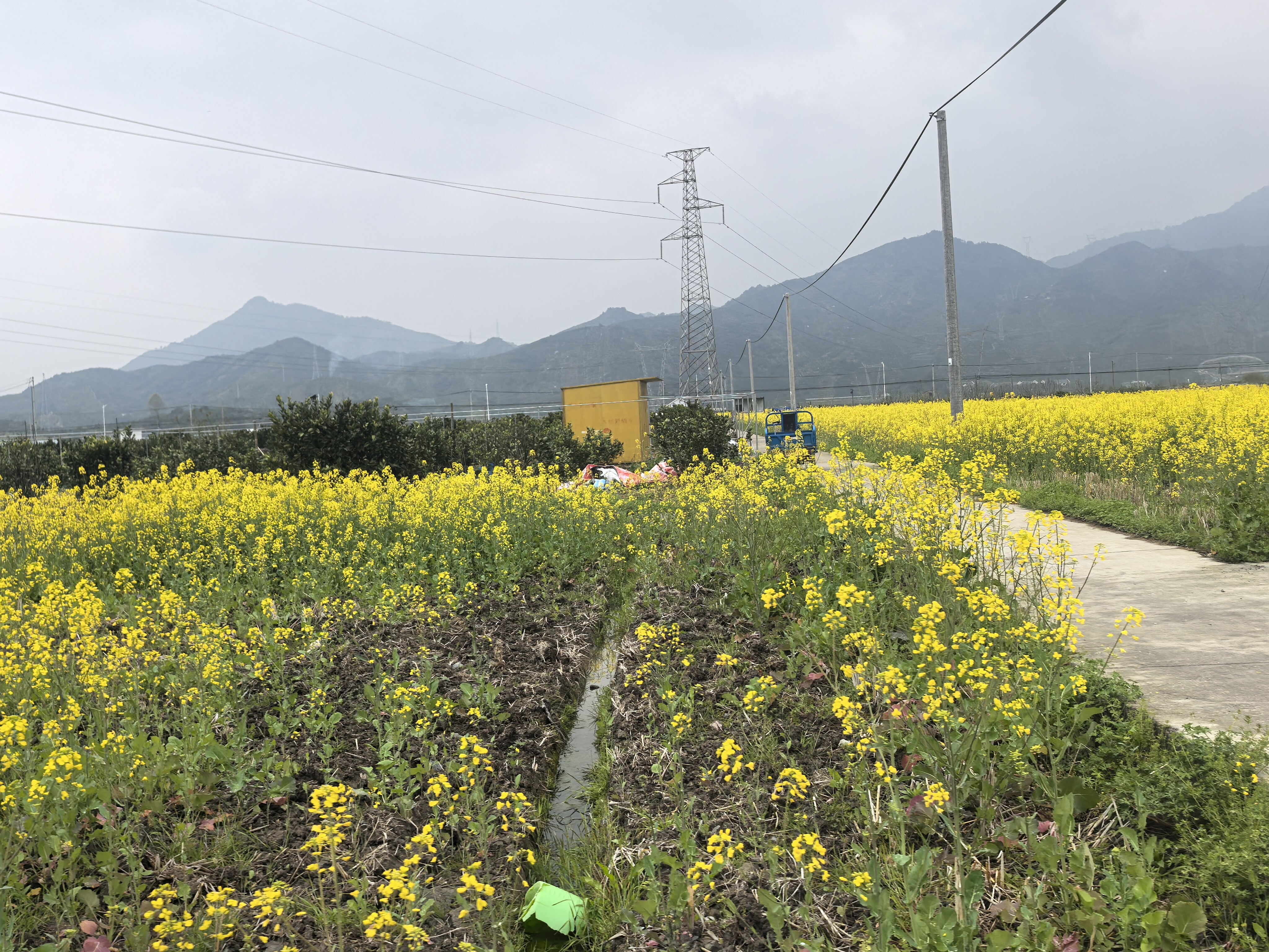 临海市涌泉镇新前塘村复耕土地的承包权