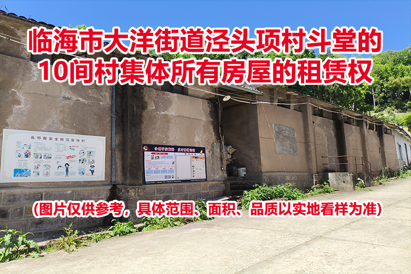 临海市大洋街道泾头项村斗堂的10间村集体所有房屋的租赁权