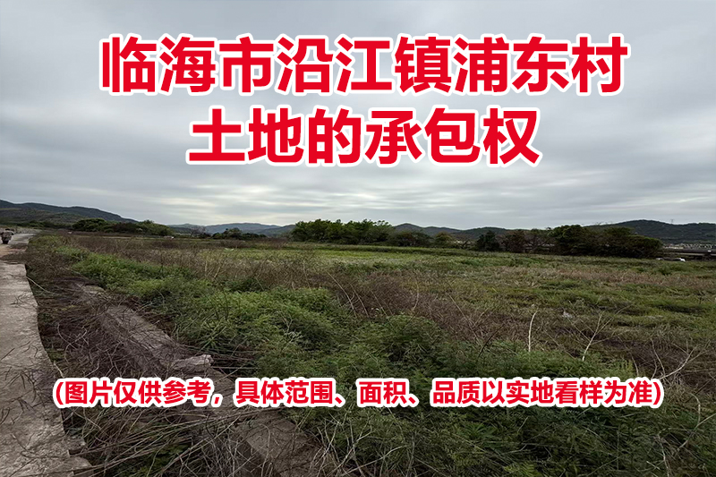 临海市沿江镇浦东村土地的承包权