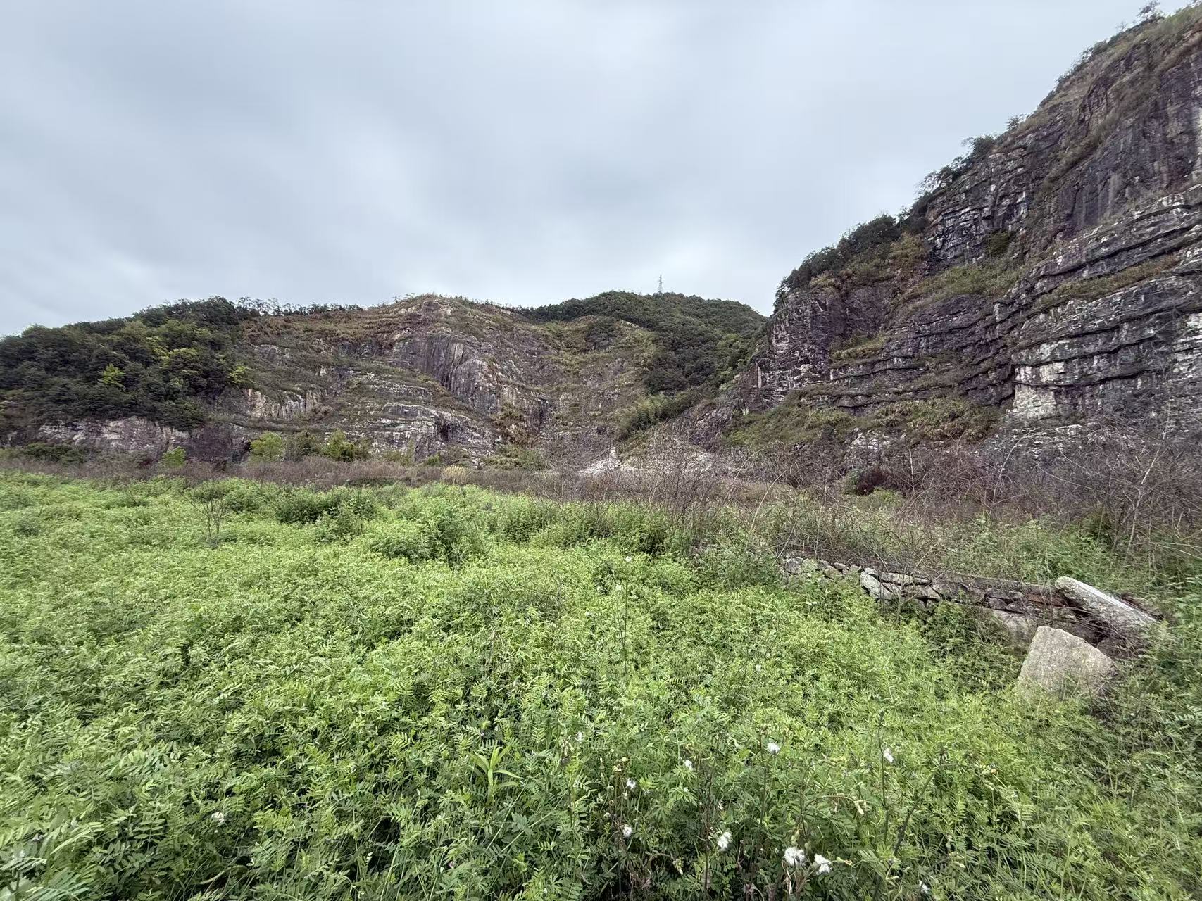 临海市沿江镇浦东村土地的承包权