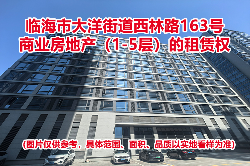 临海市大洋街道西林路163号商业房地产（1-5层）的租赁权