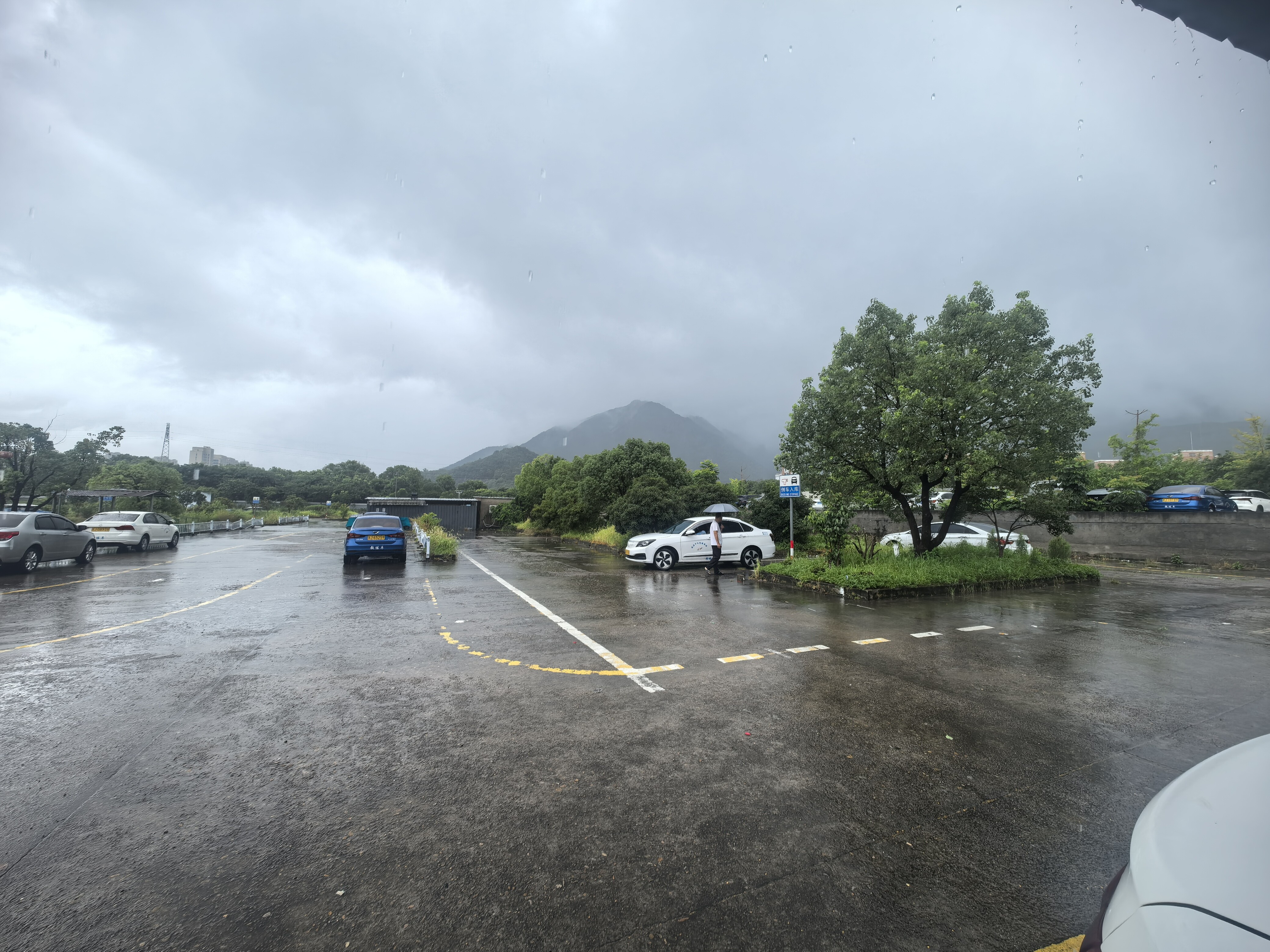 临海市大洋街道绿化村绿化路西侧场地的租赁权