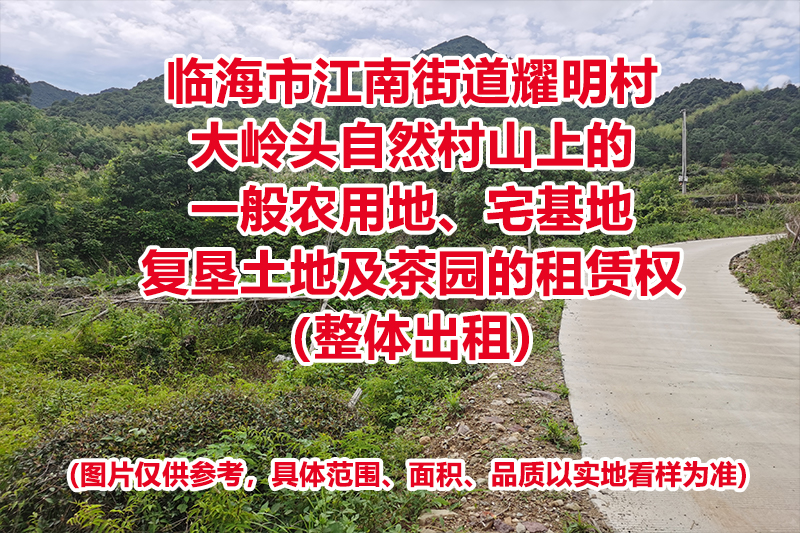 临海市江南街道耀明村大岭头自然村山上的一般农用地、宅基地复垦土地及茶园的租赁权（整体出租）