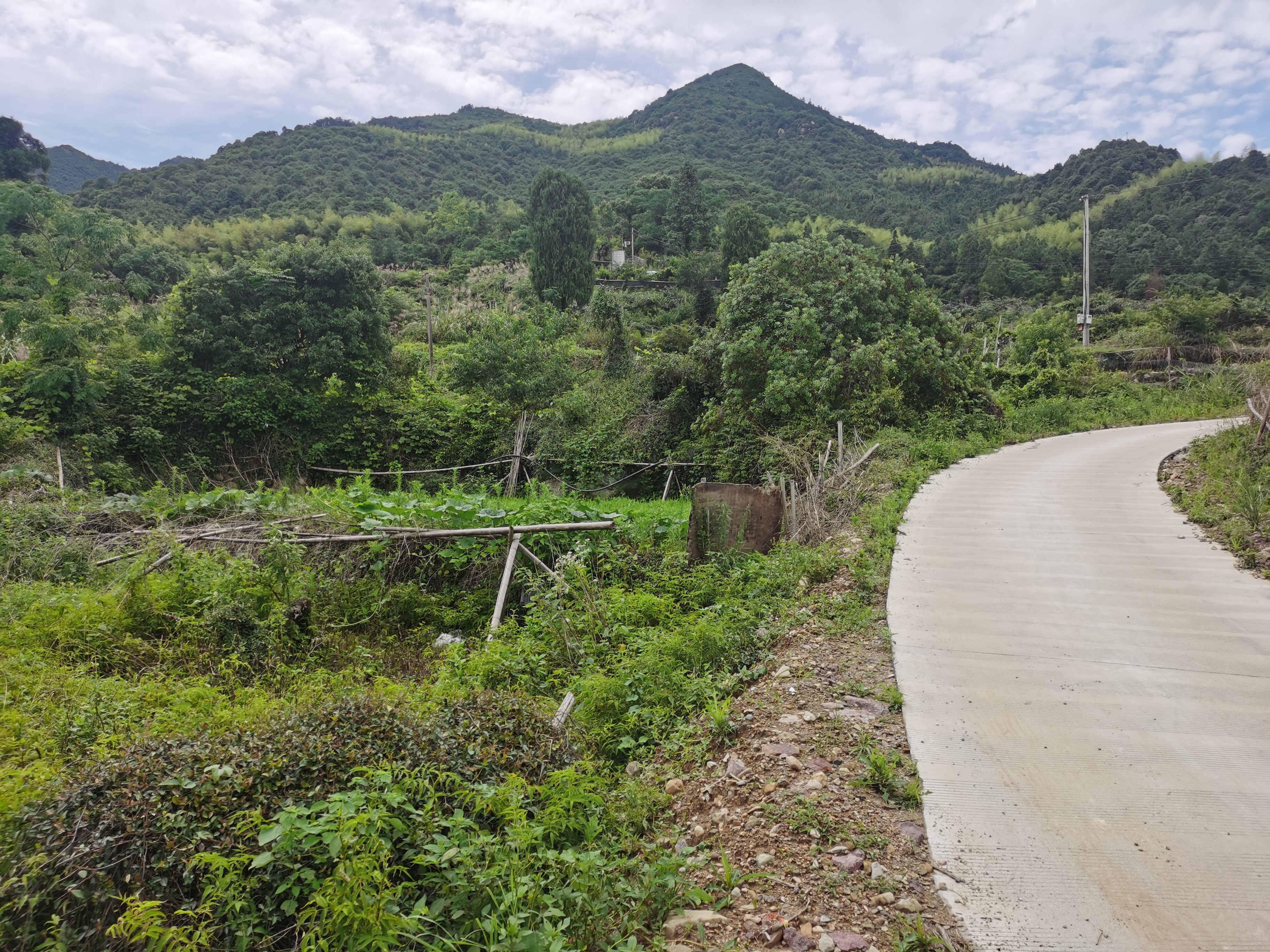 临海市江南街道耀明村大岭头自然村山上的一般农用地、宅基地复垦土地及茶园的租赁权（整体出租）