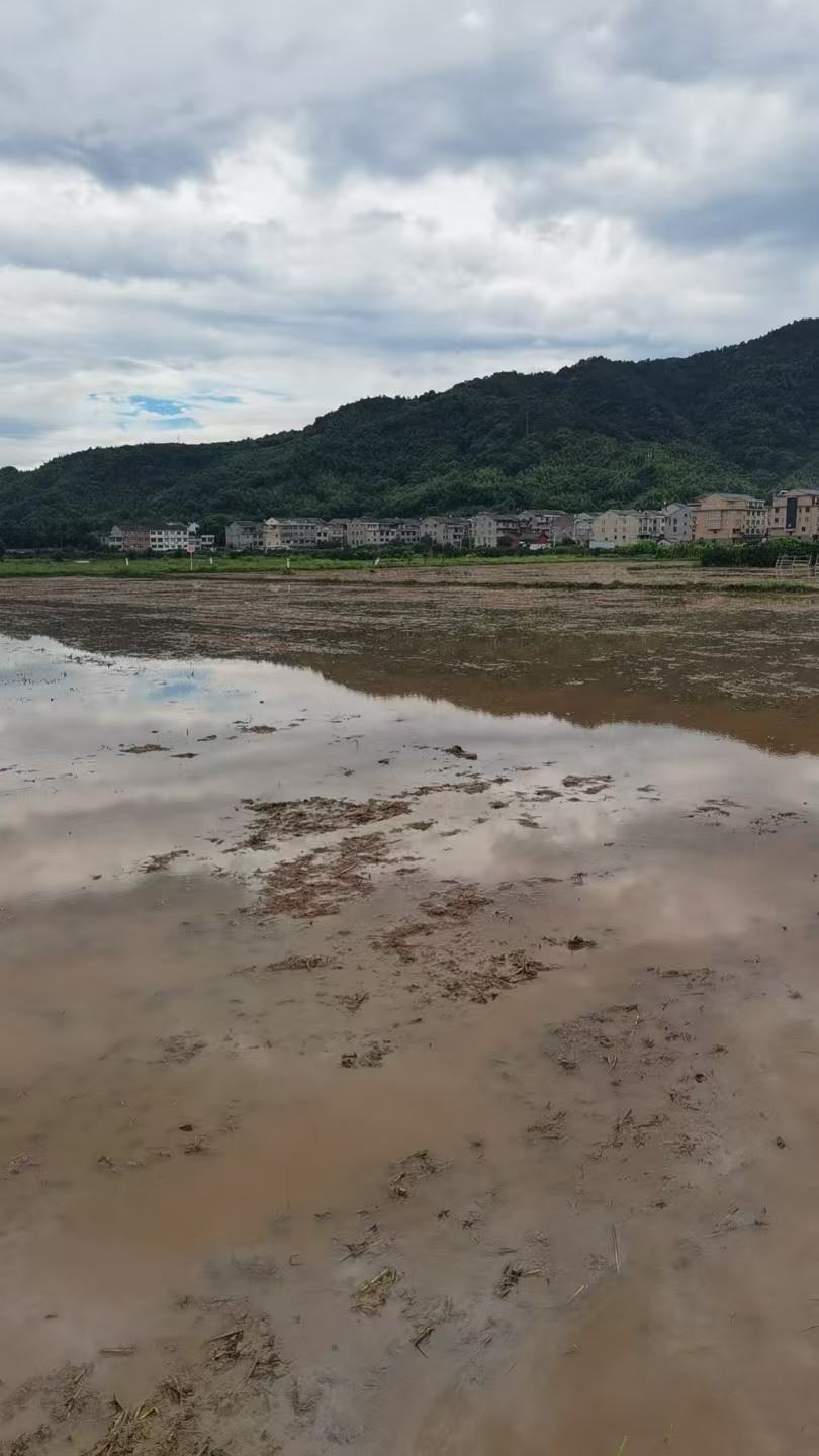 临海市沿江镇下百岩村二期复耕土地的租赁权