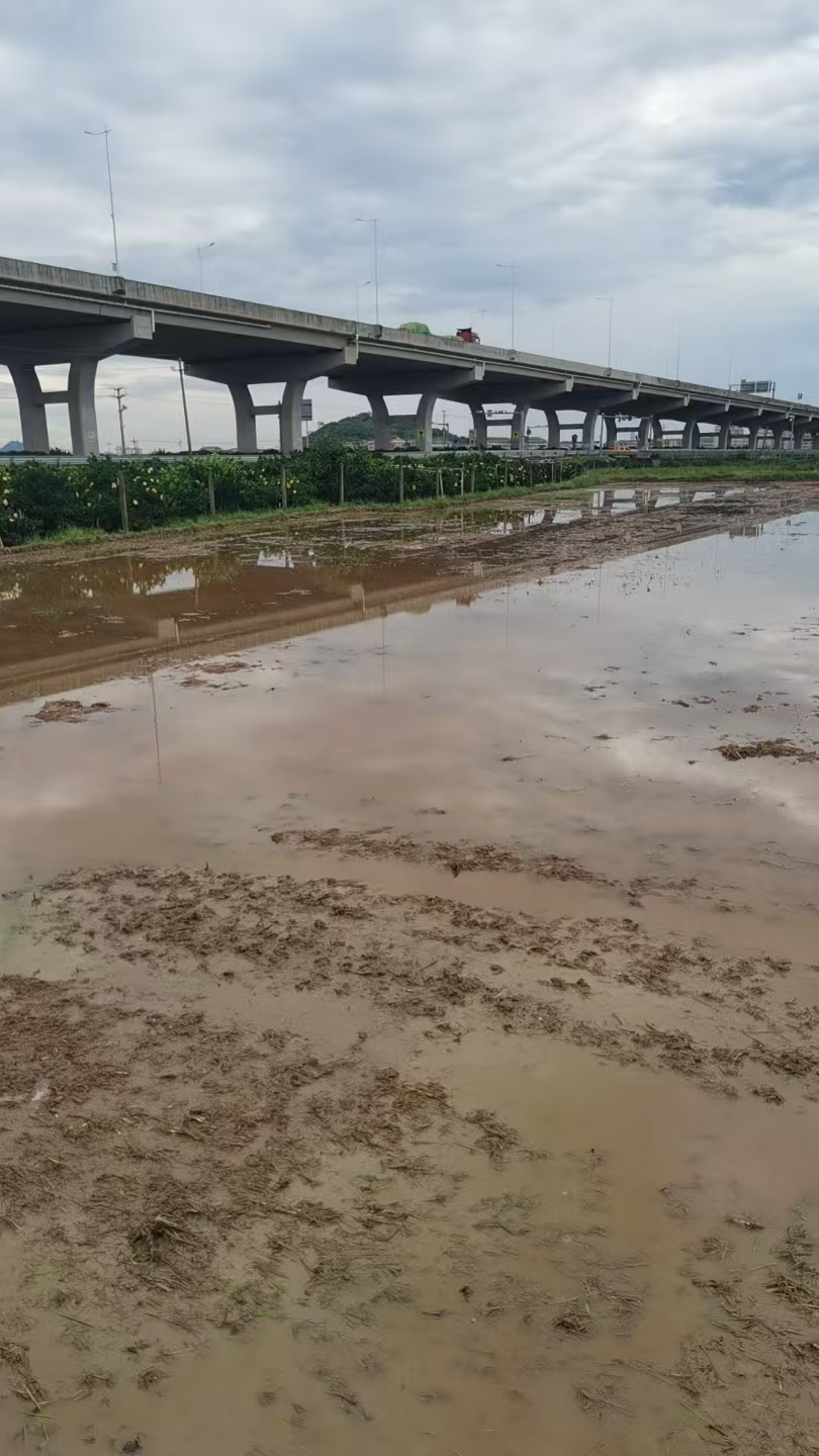 临海市沿江镇下百岩村二期复耕土地的租赁权