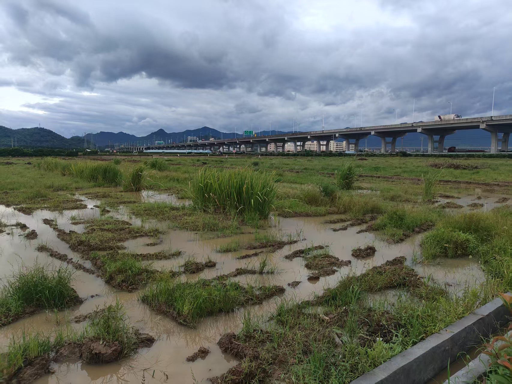临海市沿江镇下百岩村二期复耕土地的租赁权