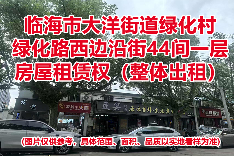 临海市大洋街道绿化村绿化路西边沿街44间一层房屋租赁权(整体出租)