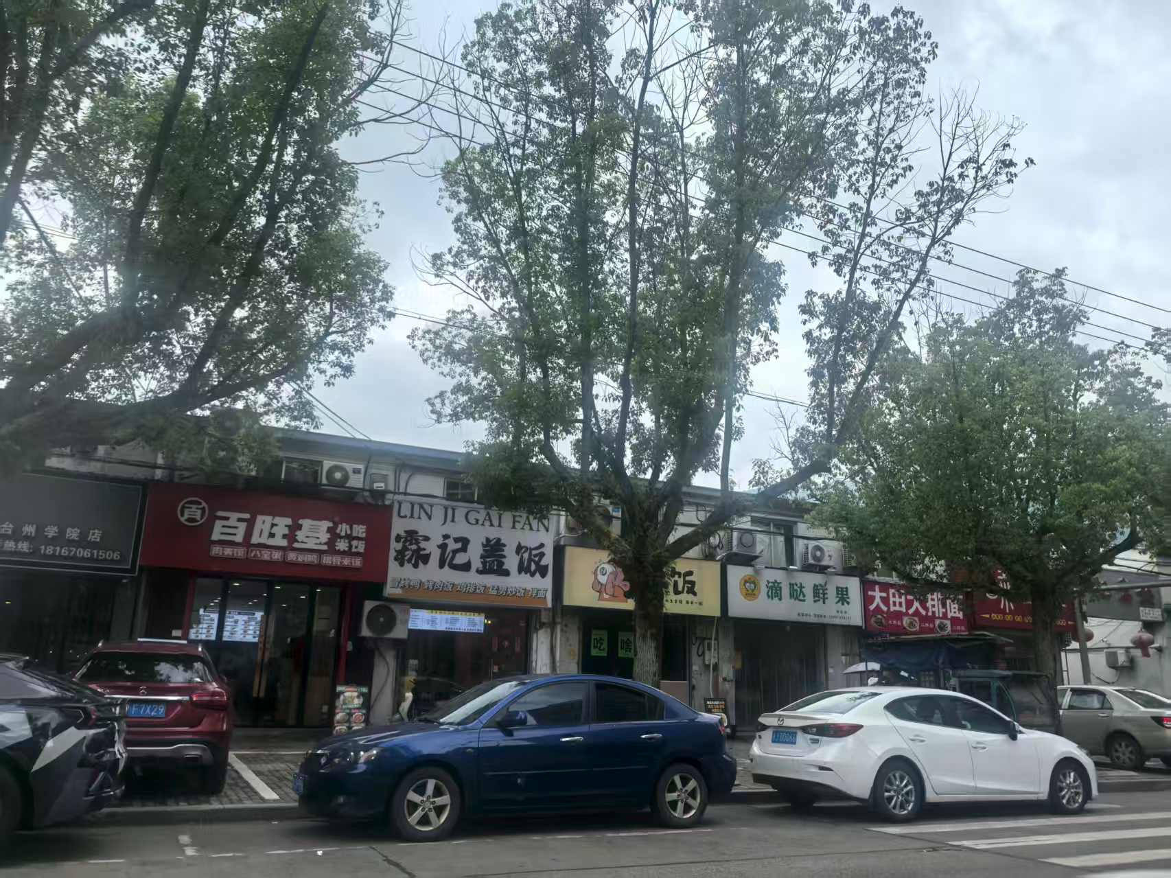 临海市大洋街道绿化村绿化路西边沿街44间一层房屋租赁权(整体出租)