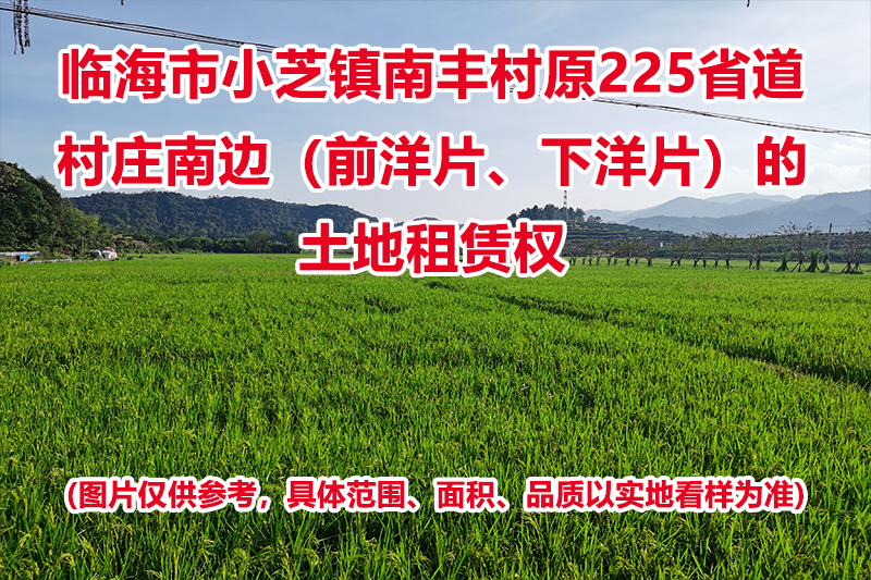 临海市小芝镇南丰村原225省道村庄南边(前洋片、下洋片)的土地租赁权