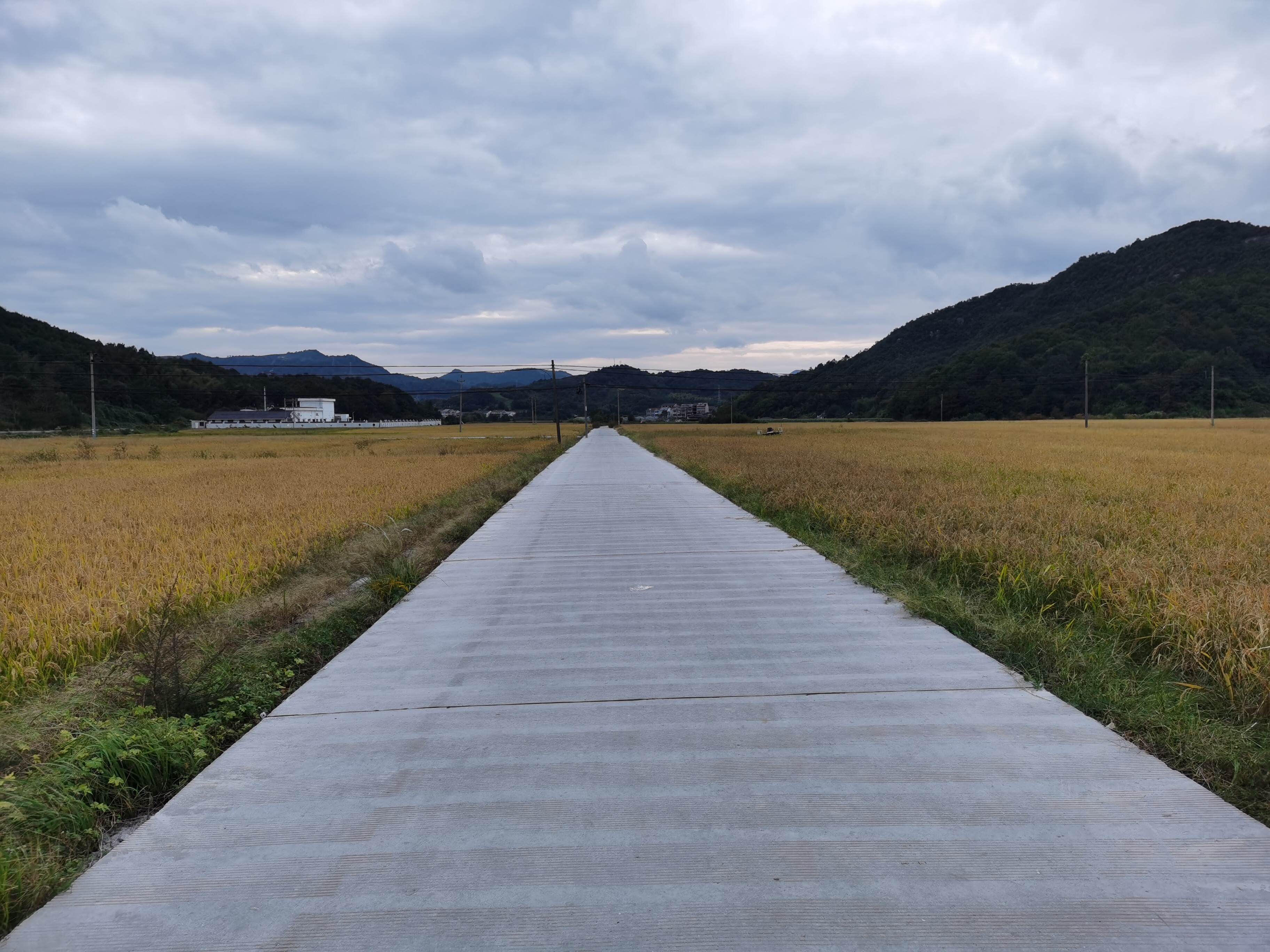 临海市小芝镇大来岙村下洋区块的土地租赁权