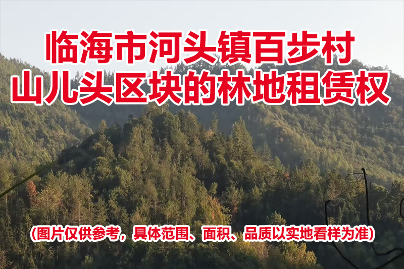 临海市河头镇百步村山儿头区块的林地租赁权