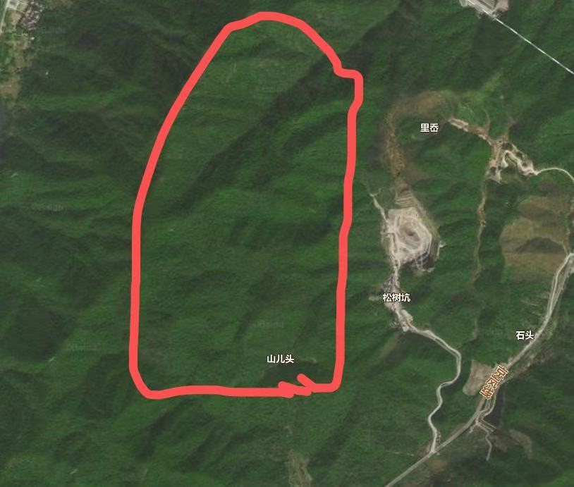 临海市河头镇百步村山儿头区块的林地租赁权