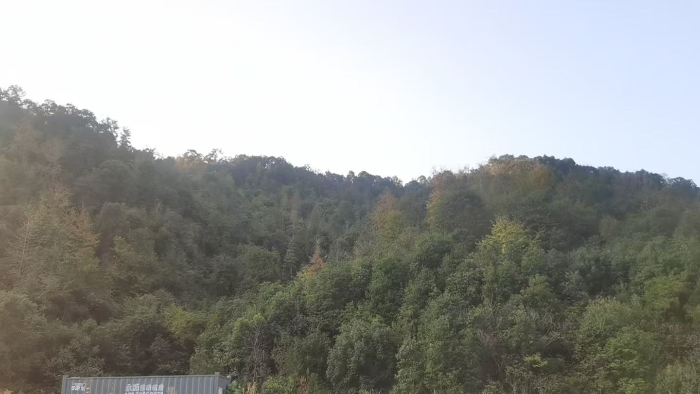 临海市河头镇百步村山儿头区块的林地租赁权