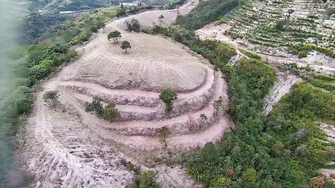 临海市汛桥镇峙下村下湾自然村坳岭头林地的租赁权