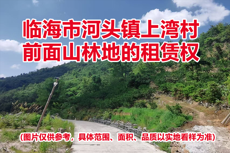 临海市河头镇上湾村前面山林地的租赁权