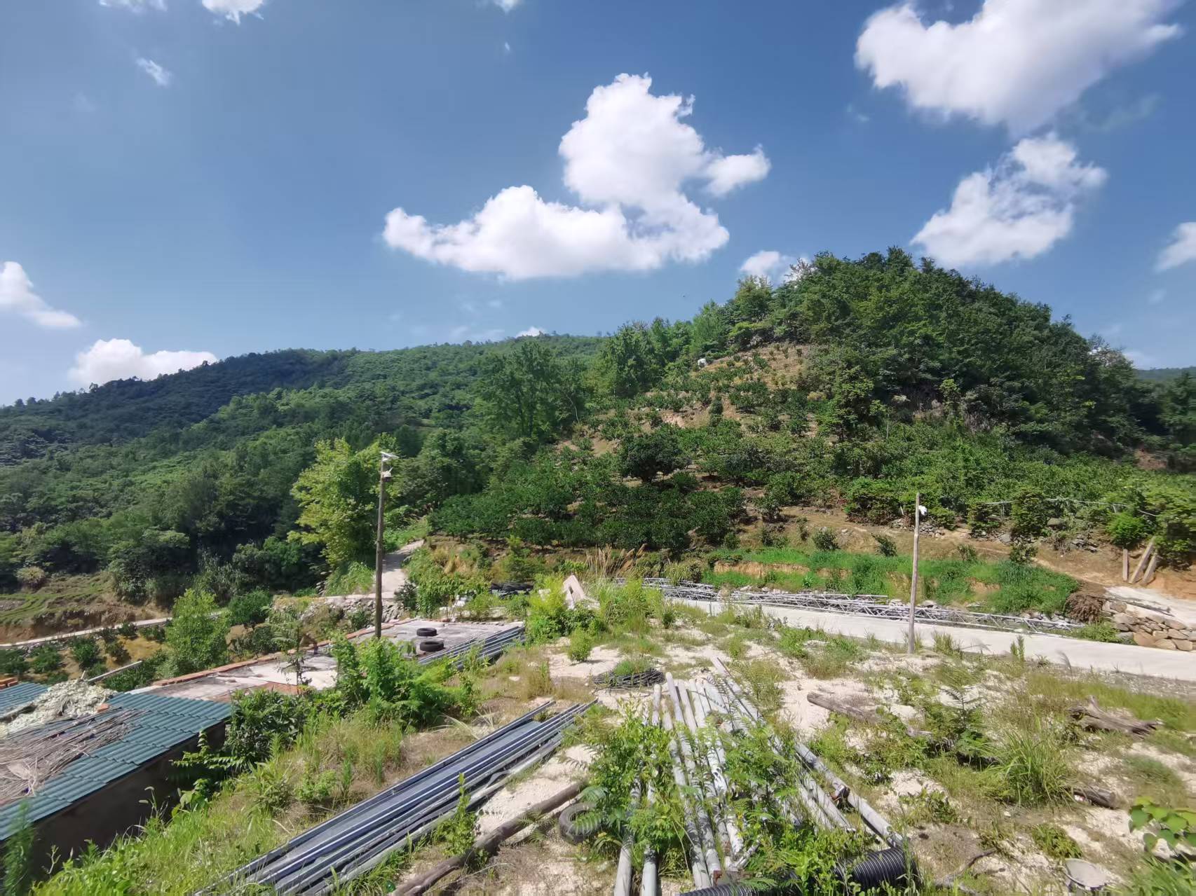 临海市河头镇上湾村前面山林地的租赁权