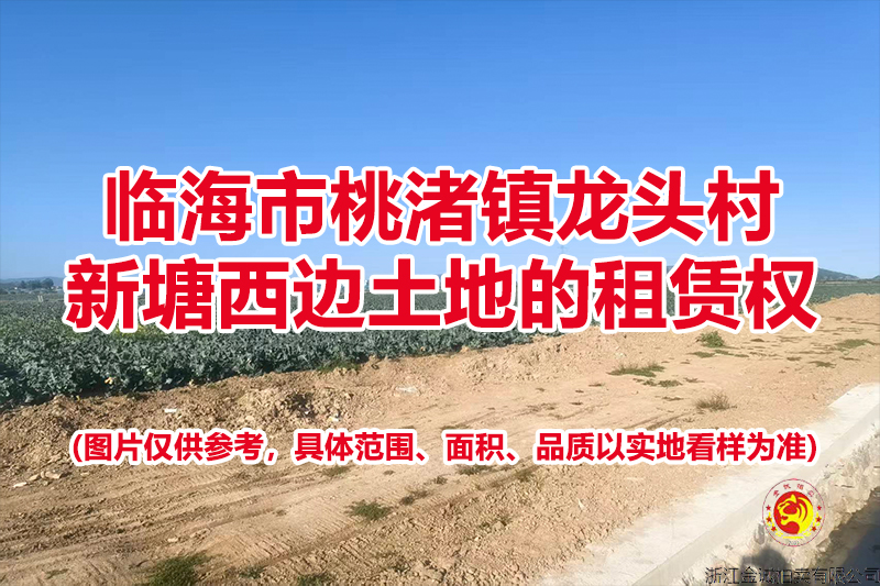 临海市桃渚镇龙头村新塘西边土地的租赁权