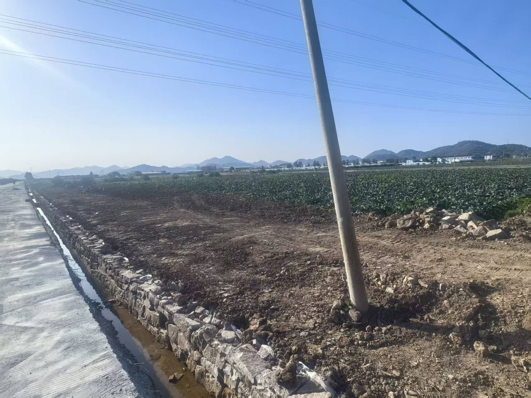 临海市桃渚镇龙头村新塘西边土地的租赁权