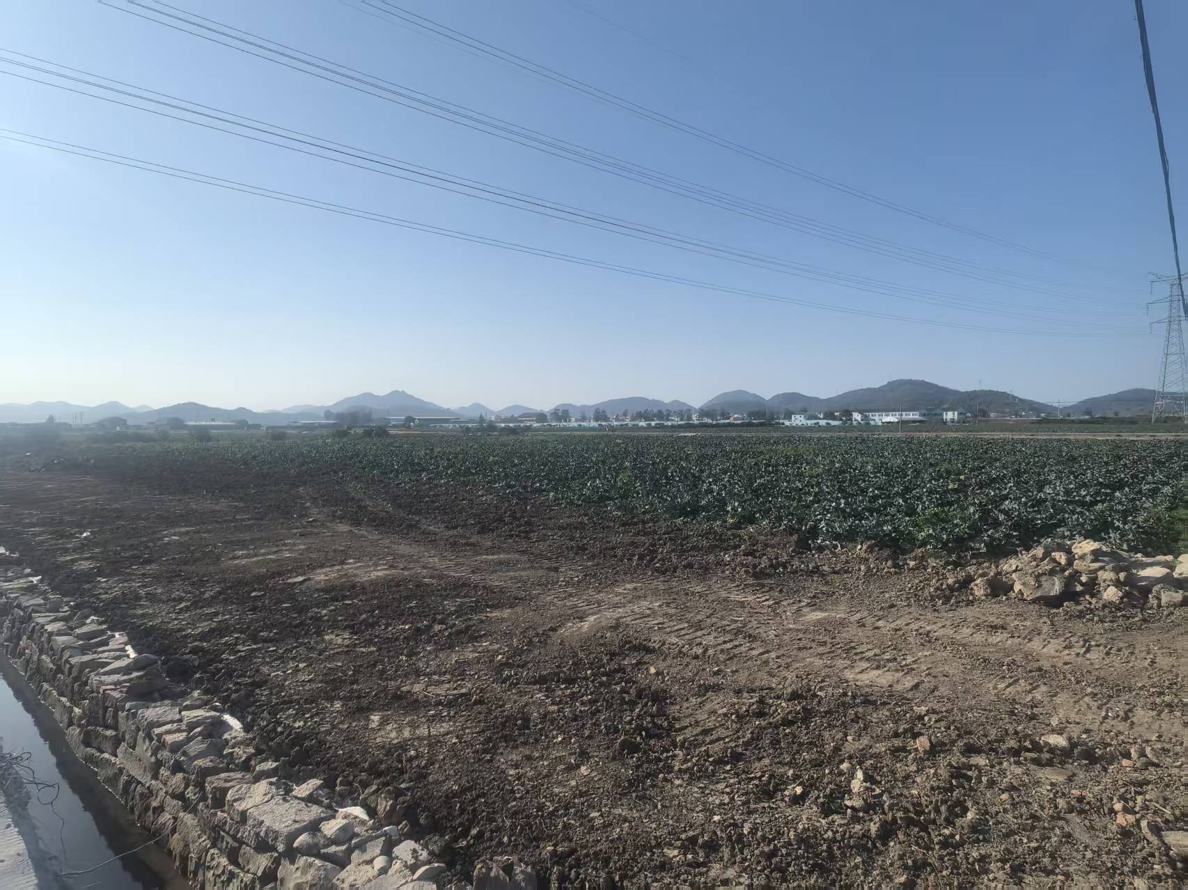 临海市桃渚镇龙头村新塘西边土地的租赁权